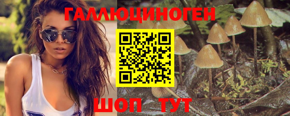 Псилоцибиновые грибы ЛСД  Вход с VPN  Псилоцибиновые грибы ЛСД  Каменск-Шахтинский 