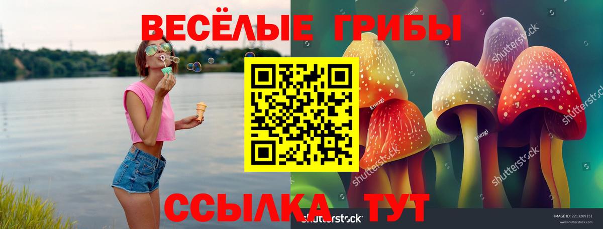 Галлюциногенные грибы мицелий Каменск-Шахтинский